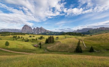 Стартап в США: от визы до своего бизнеса