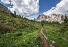 Инновации в производстве бруса: современные подходы и решения