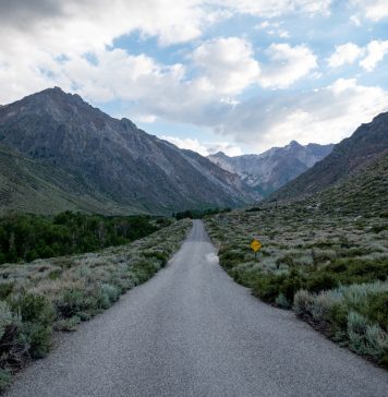 Ремонт и лайфхаки: даёшь чайнику новую жизнь! Ремонт чайников в Алматы