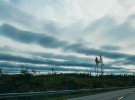 Новая эра коммуникации: интеграция Neurs.AI в Телеграм