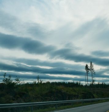Банный микс: искусство сочетания веников