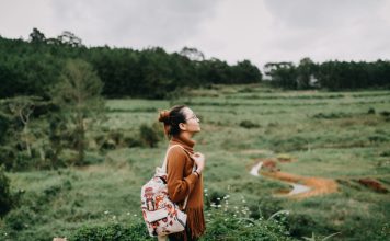 Инновации в производстве бруса: современные подходы и решения